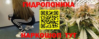 дмт Балахна