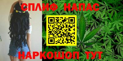дмт Балахна