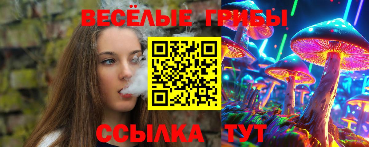 Галлюциногенные грибы GOLDEN TEACHER  Вход с VPN  Десногорск  Псилоцибиновые грибы прущие грибы 
